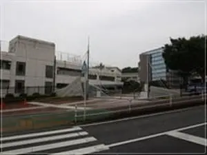 松坂桃李　高校　小田原　相洋高校　高校時代　写真　彼女　あかね